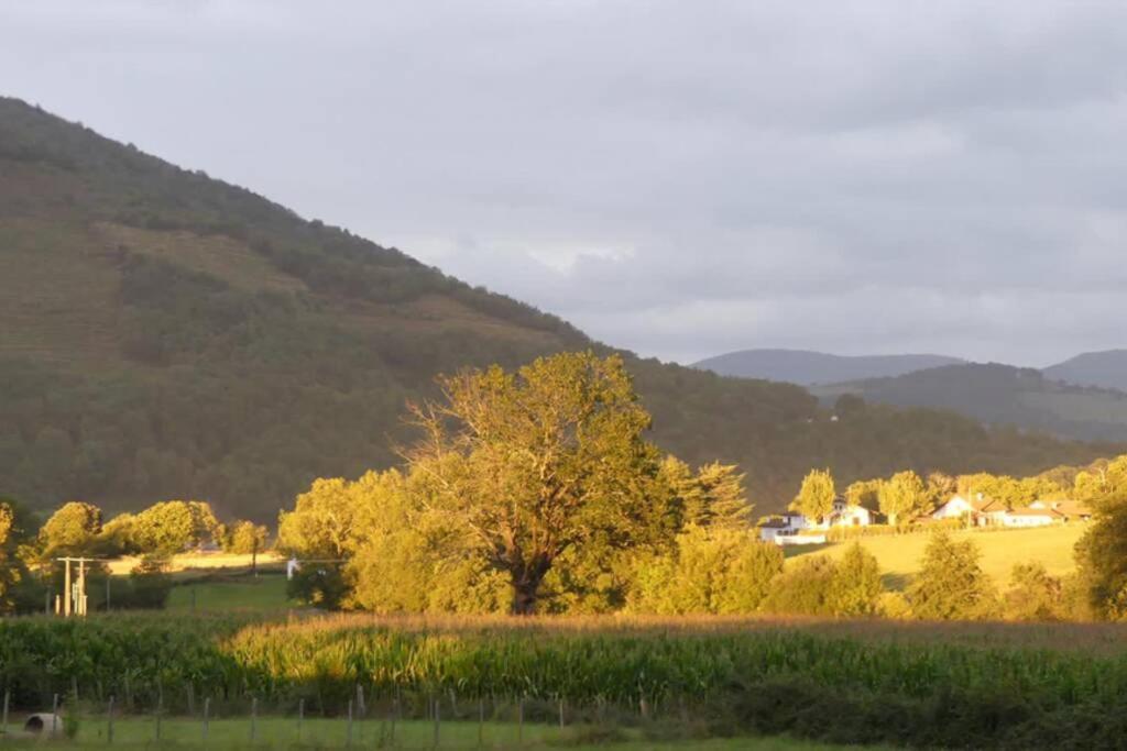 Charmante maison basque. Idéale famille&enfants Anhaux Exterior foto
